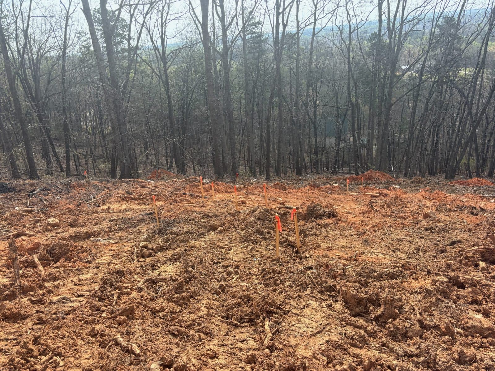 March 2026 — cleared, pad cut, survey stakes in